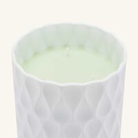bernardaud royal tumbler with candle