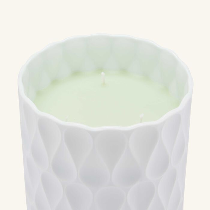 bernardaud royal tumbler with candle