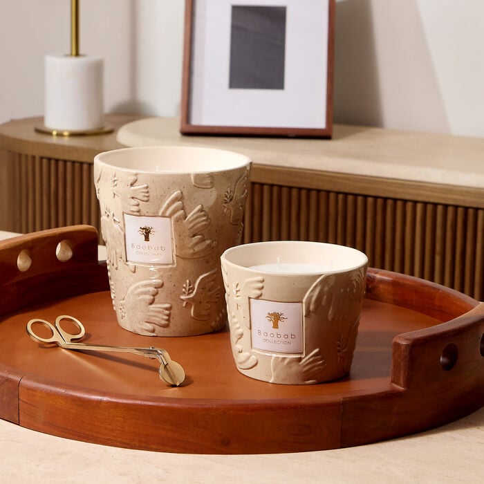baobab collection paloma candles max 10