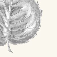 buccellati hazelnut leaf bowl medium silver