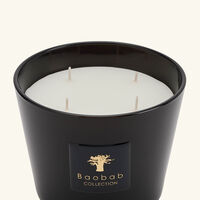 baobab collection encre de chine candle max 10
