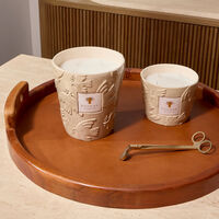 baobab collection paloma candles max 16