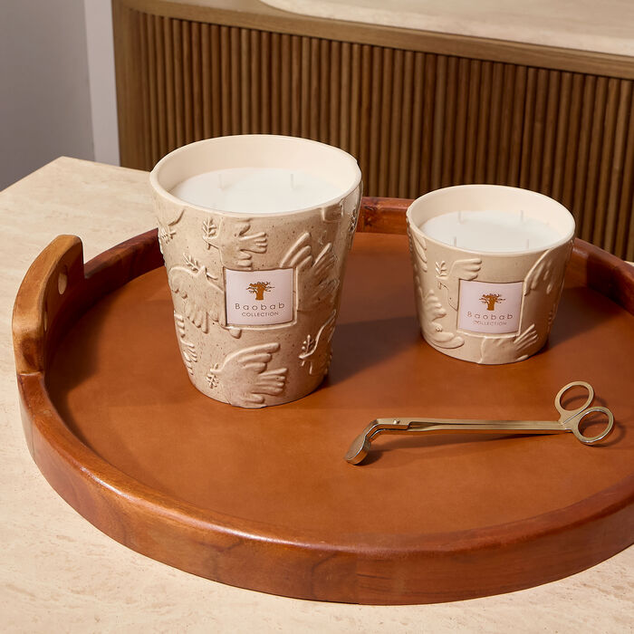 baobab collection paloma candles max 16