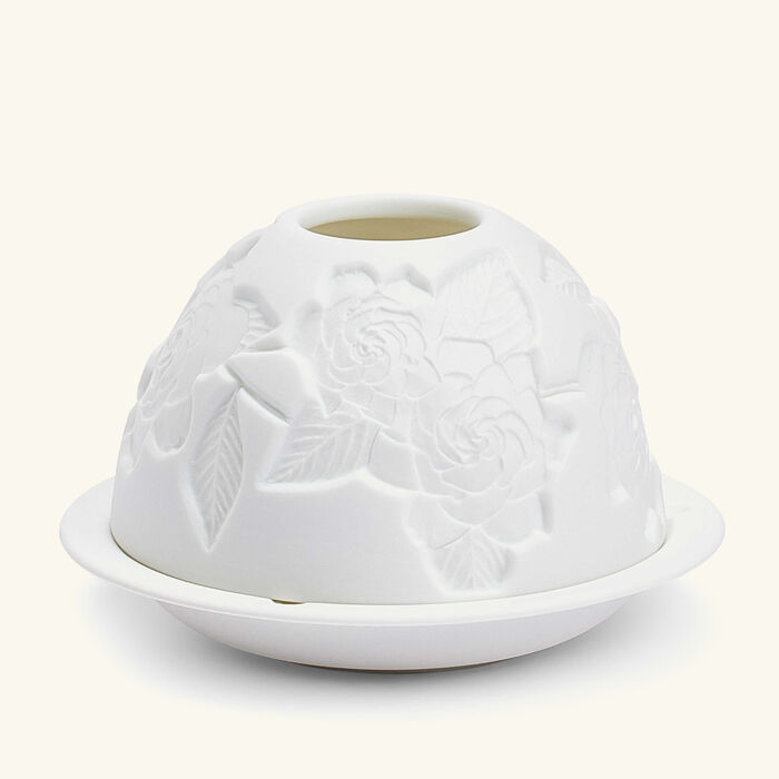 برناردو مصباح ليثوفاني جاردينيا فلاور