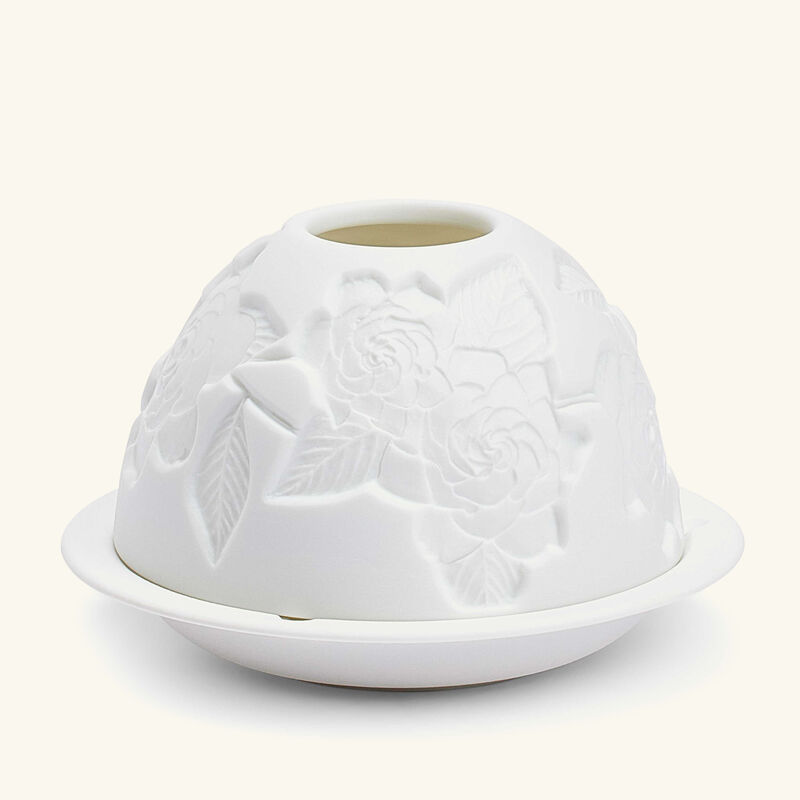 برناردو مصباح ليثوفاني جاردينيا فلاور