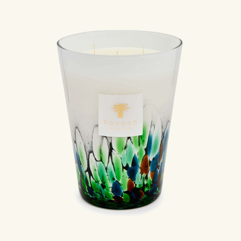 baobab collection rainforest amazonia candle max 24