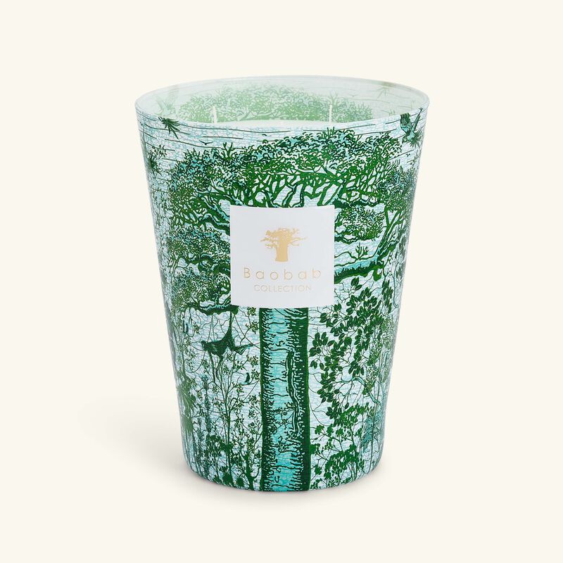 Sacred Trees Kamalo Candle Max 24 baobab collection sacred trees kamalo candle max 24
