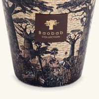 Sacred Trees Mankono Candle Max 16 baobab collection sacred trees mankono candle max 16