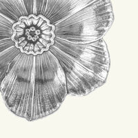 buccellati narcissus flower bowl medium silver