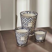 baobab collection gentlemen candle max 24
