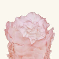 Camellia Vase Large Pink Limited Edition daum camellia vase large pink limited edition