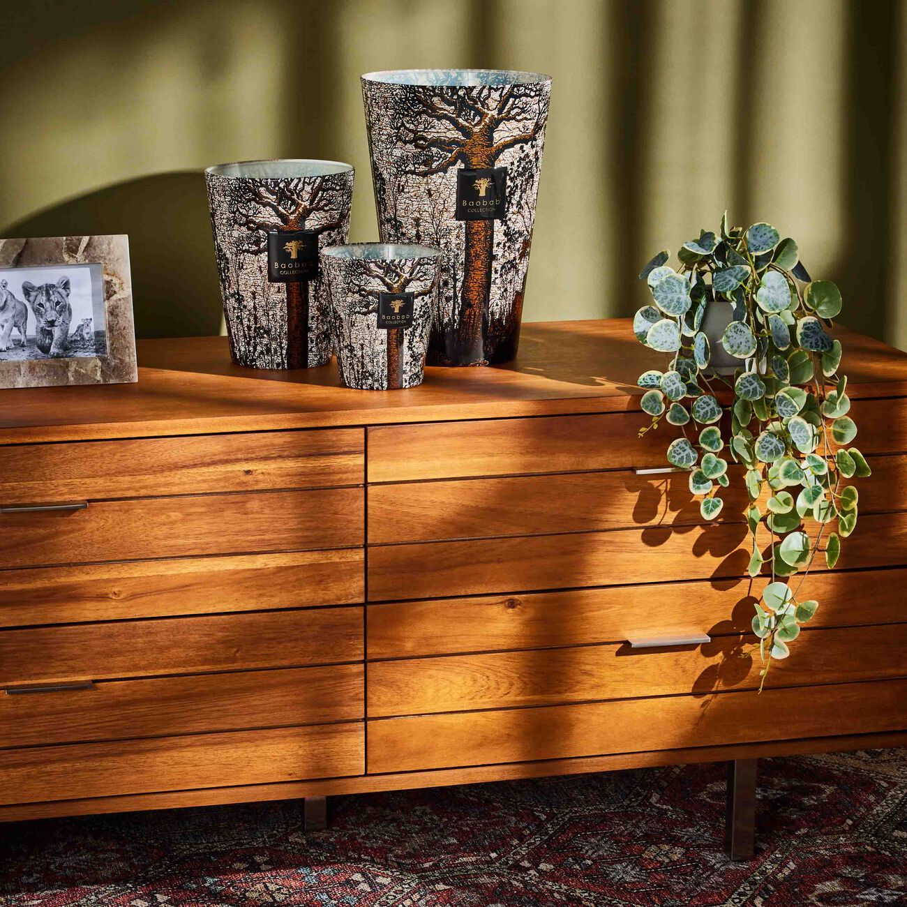 باوباب شمعة سيكرد تريز موروندو ماكسي ماكس