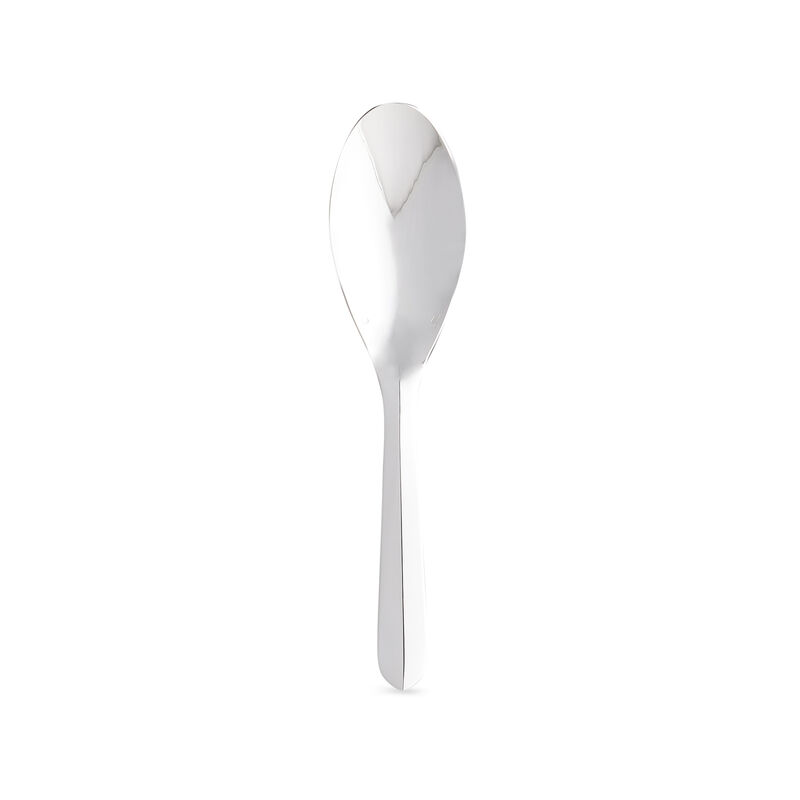 Infini Serving Spoon, large