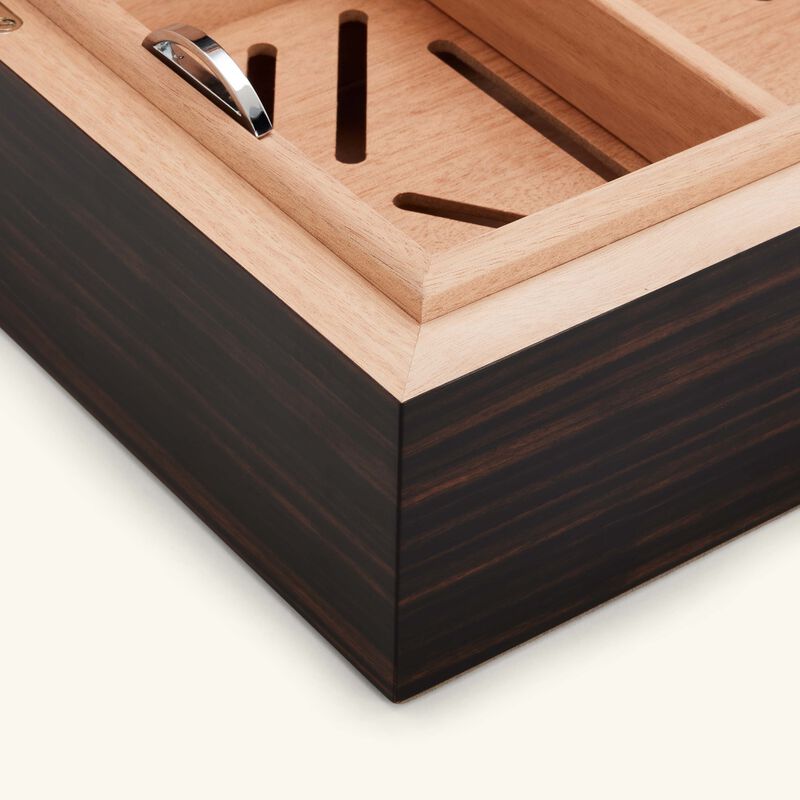 جيوبانيارا حافظ السيجار إيلي صعب إيبوني