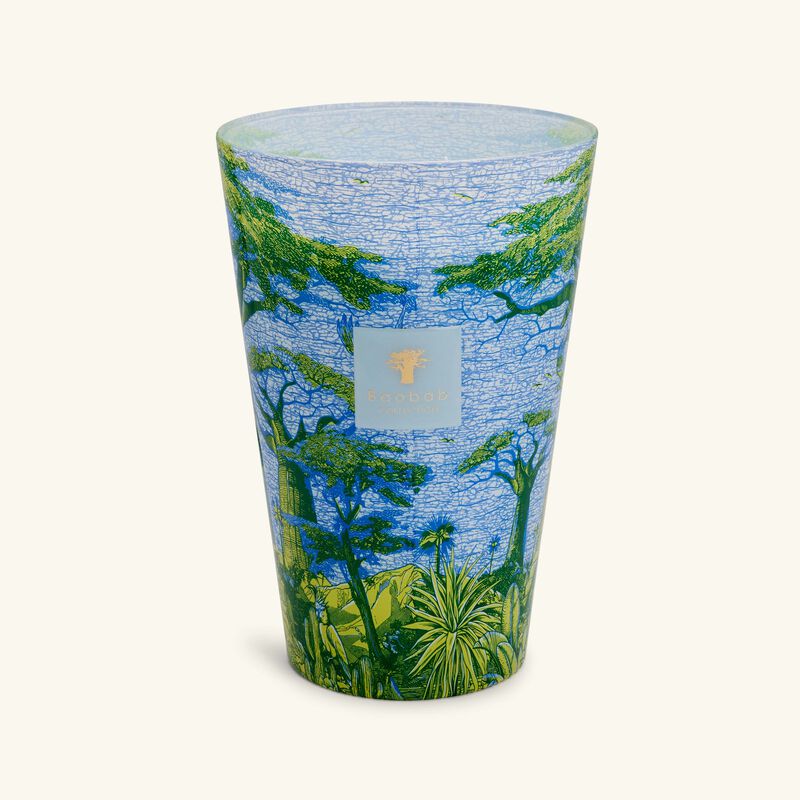 Sacred Trees Yarani Candle Max 35 baobab collection sacred trees yarani candle max 35