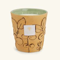 Folia Garrigue Candle Max 16 baobab collection folia garrigue candle max 16