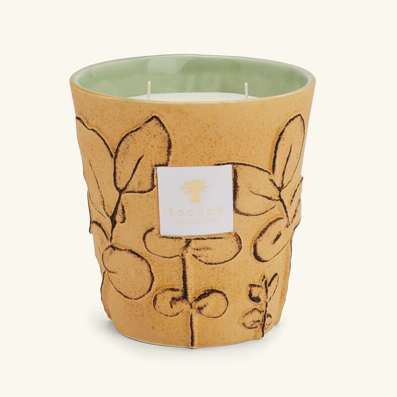Folia Garrigue Candle Max 16 baobab collection folia garrigue candle max 16