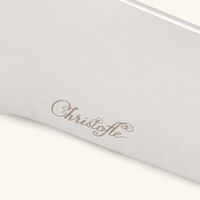 كريستوفل ملقط ثلج أو من الستانلس ستيل