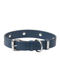 Royal Jack Calf Leather Collar - Size 2, small