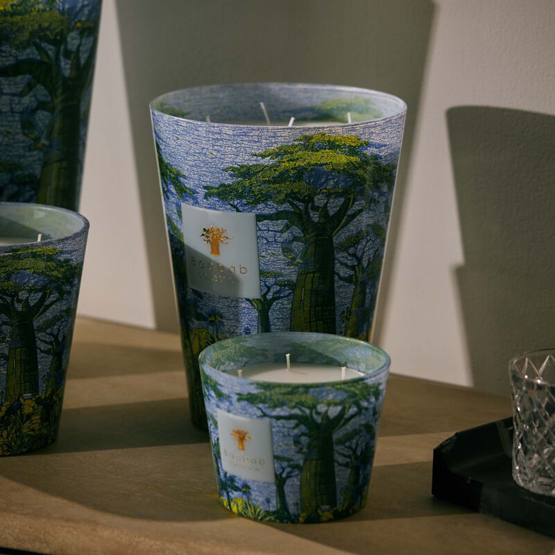 Sacred Trees Yarani Candle Max 24 baobab collection sacred trees yarani candle max 24
