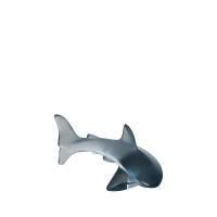تمقال سمك القرش, small