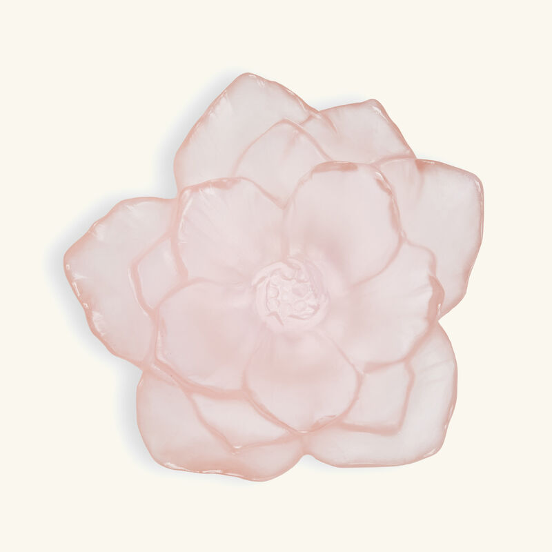 daum camellia centerpiece small pink