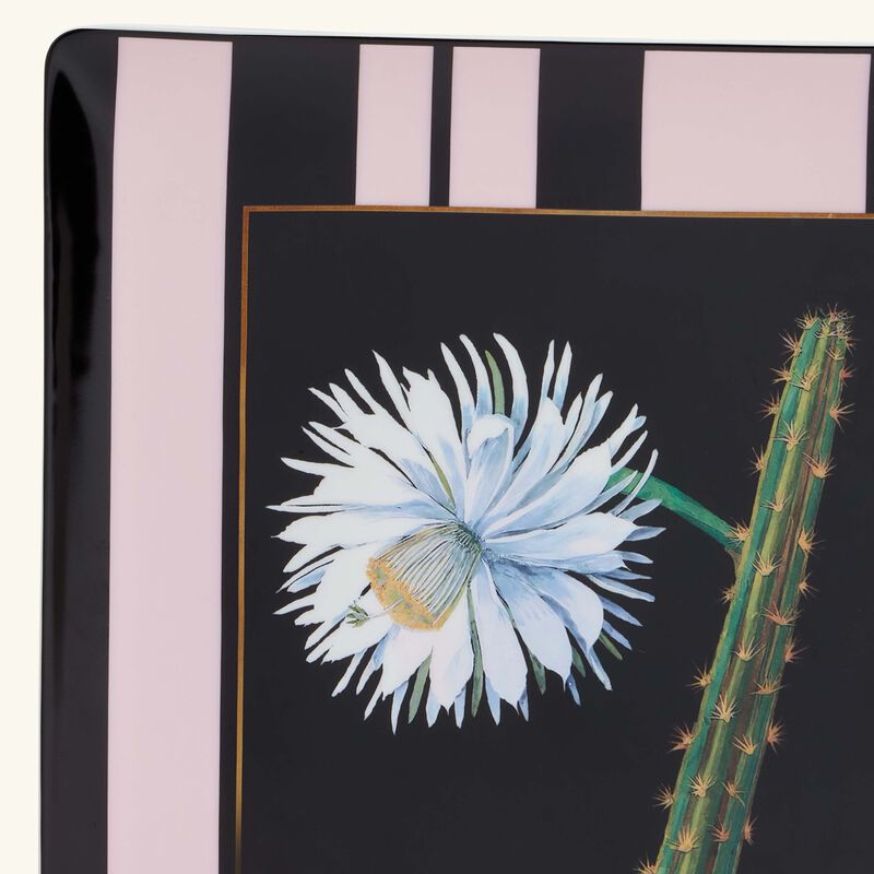Natura Fleur De Cactus Trinket Tray Rectangular Black 22cm bernardaud natura fleur de cactus trinket tray rectangular black 22cm