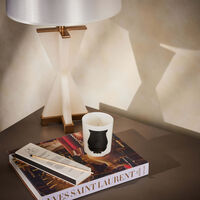 trudon ernesto scented matches