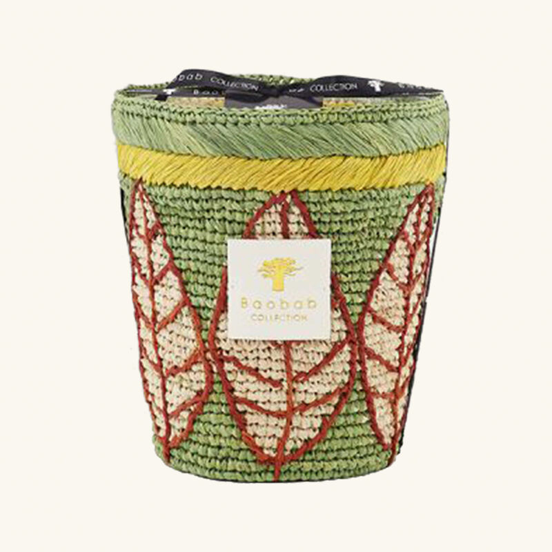 Ravintsara Ravina Candle Max 16 baobab collection ravintsara ravina candle max 16