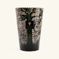 شمعة سيكرد تريز كاني ماكسي ماكس باوباب شمعة سيكرد تريز كاني ماكسي ماكس