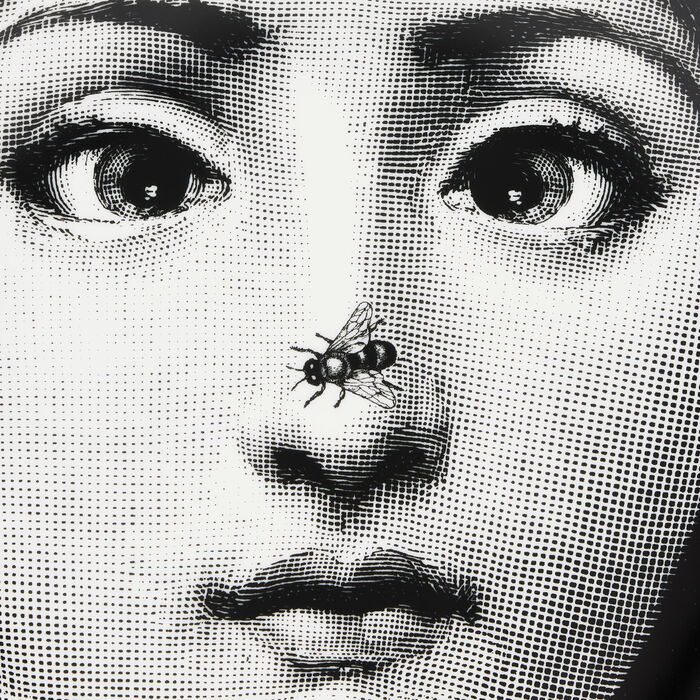 Tema e Variazioni no.363 Wall Plate fornasetti tema e variazioni no 363 wall plate