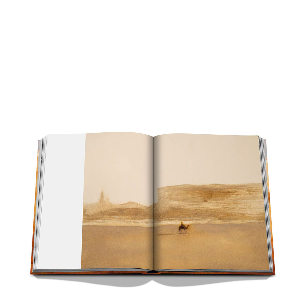 assouline the mysterious desert of the empty quarter book