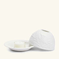 Les Colibris Lithophanie bernardaud les colibris lithophanie