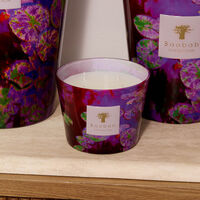 Water Lily Candles Max 10 baobab collection water lily candles max 10
