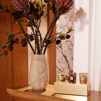 baobab collection my first baobab candle rio mexico miami trio gift set