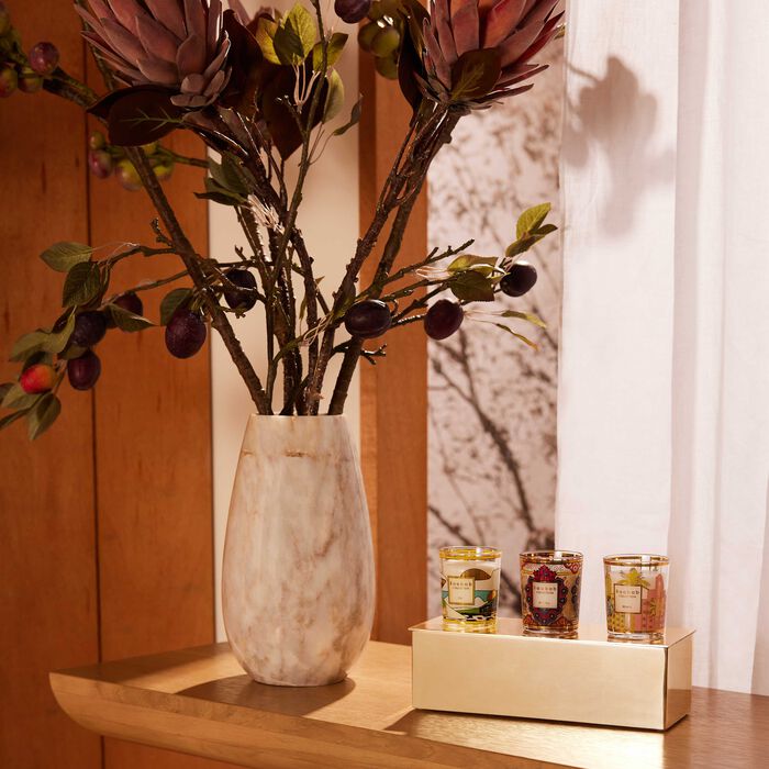 baobab collection my first baobab candle rio mexico miami trio gift set