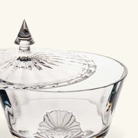 baccarat mille nuits candy box clear