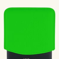 st dupont fluo cigarettes case green