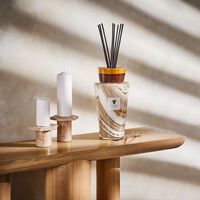 baobab collection sand siloli empty totem diffuser 5l