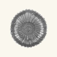 buccellati daisy bowl medium silver