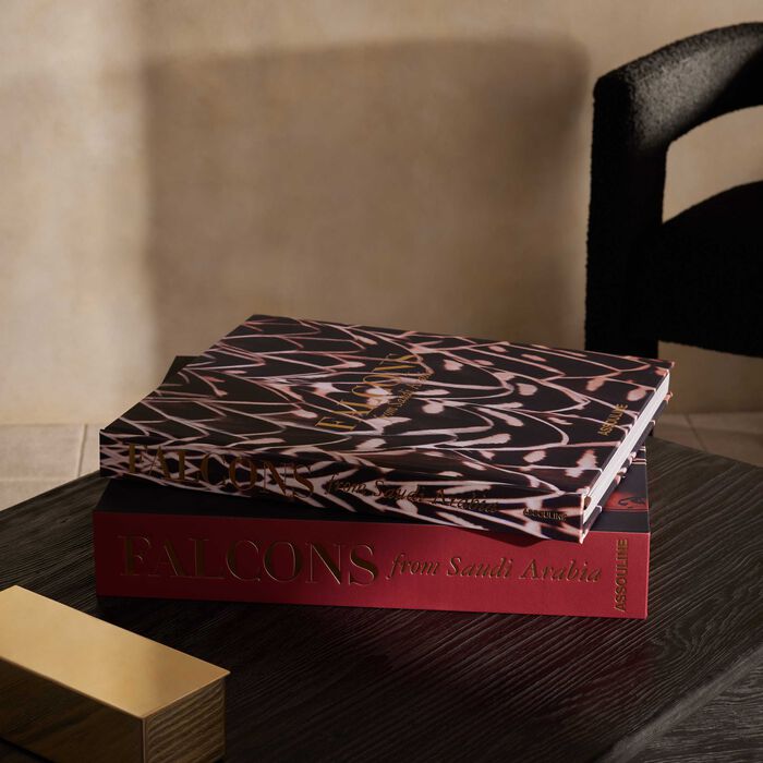 assouline falcons from saudi arabia book 48x39cm