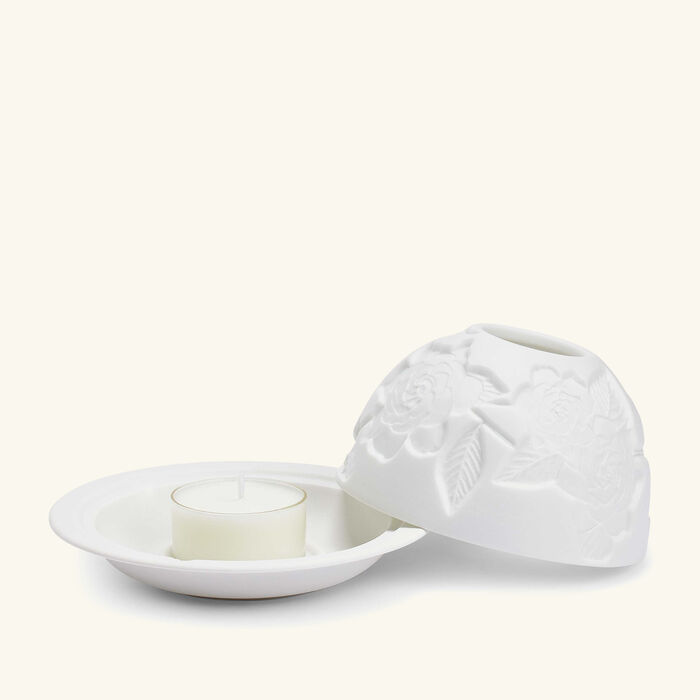 برناردو مصباح ليثوفاني جاردينيا فلاور