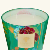 baobab collection bouquet candles max 10