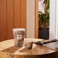 Sacred Trees Dualla Candle Max 24 baobab collection sacred trees dualla candle max 24