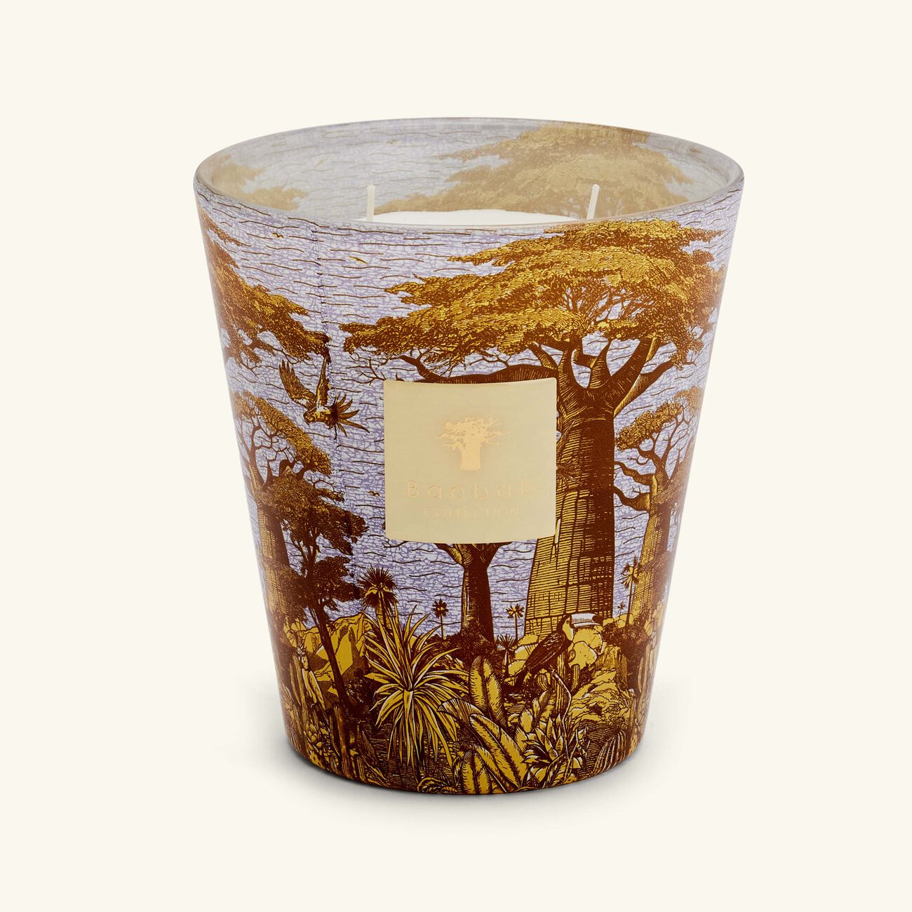 Sacred Trees Cocody Candle Max 16 baobab collection sacred trees cocody candle max 16