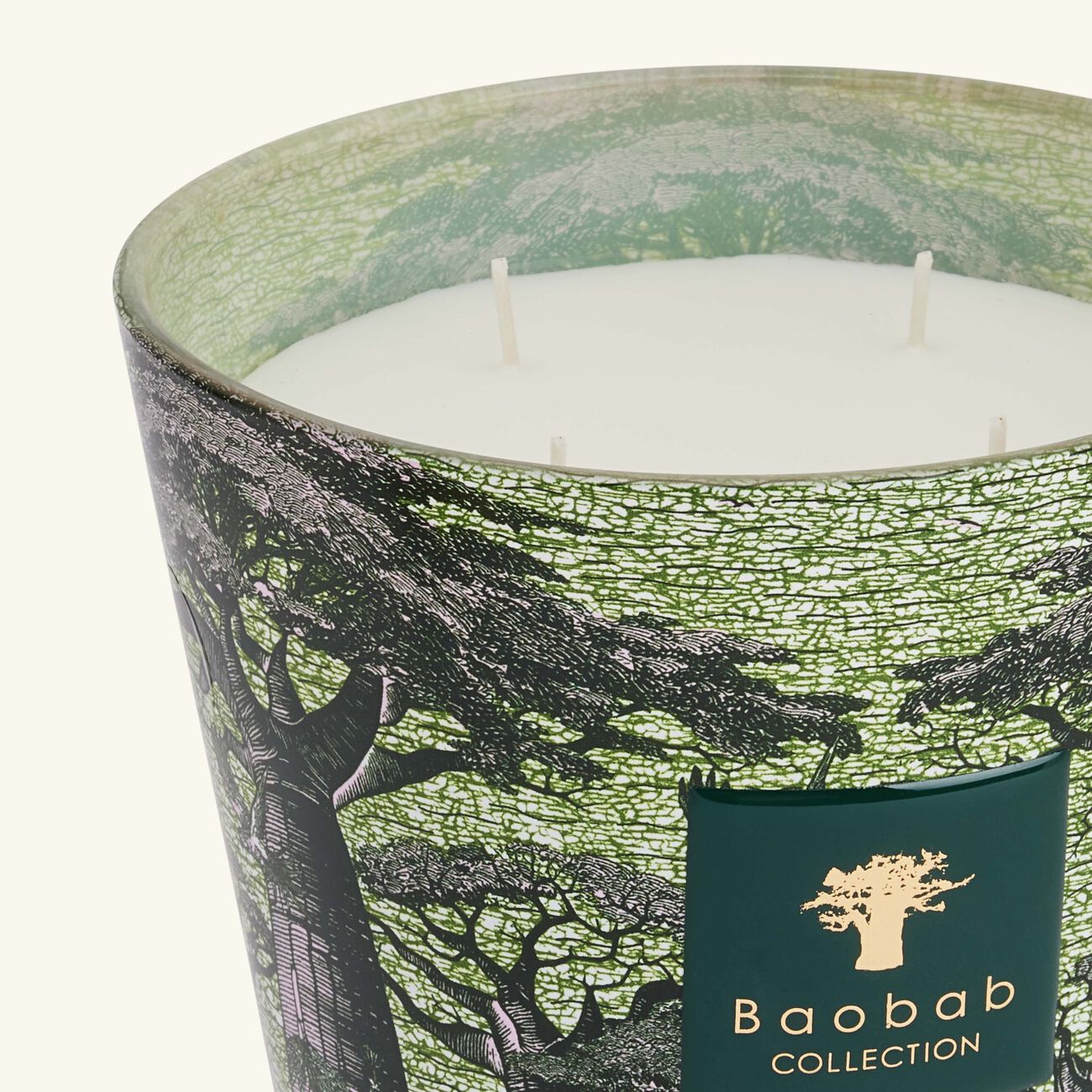 baobab collection sacred trees touba candle max 16