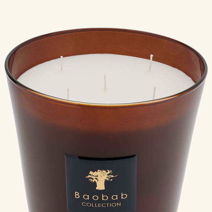 baobab collection cuir de russie candle max 24