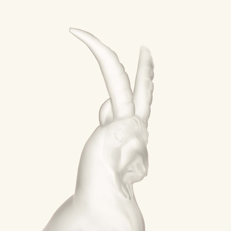 لاليك منحوتة تيرامينيرال آيبيكس متوسطة الحجم شفافة