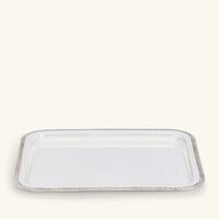 كريستوفل صينية الضيافة مالميزون مستطيلة صغيرة باللون الفضي 20 سم