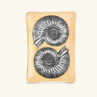 Giro di Conchiglie Ashtray Rectangular Small Gold fornasetti giro di conchiglie ashtray rectangular small gold